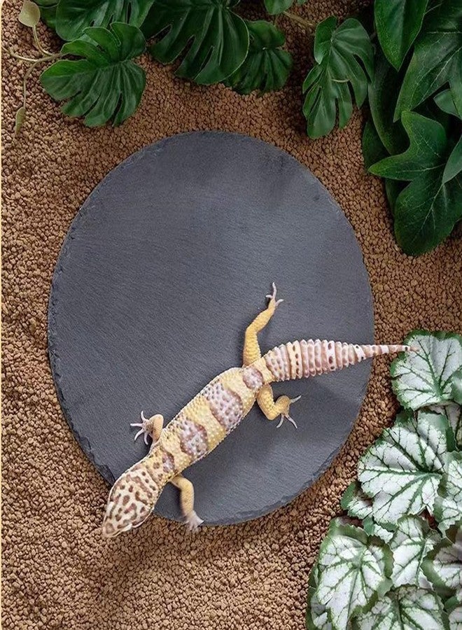 HALONTIN Reptile Basking Platform Rock Tortoise Habitat Slate Rock for Reptiles Food Dish Landscape Habitat Decor Accessories for Crested Gecko Lizard Bearded Dragon Turtle - Image 4